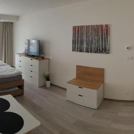 Apartment Korzo 318/3 리프노나드비타보브 외부 사진